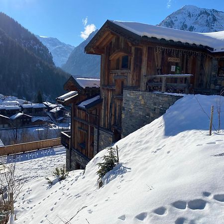 Chalet Des Trappeurs Coeur Vanoise 15 Persons La Plagne Exterior photo